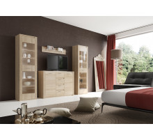 Гостиная Элана от МебельГрад, комплектация 2, цвет Бодега белая